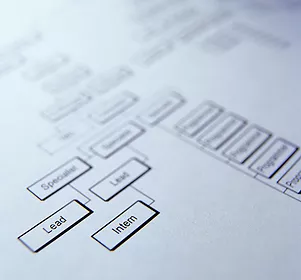 Business Process Improvement